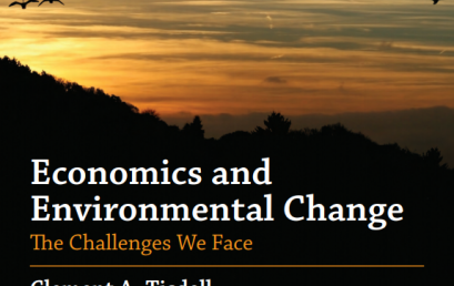 Economics and Environmental Change | The Challenges We Face