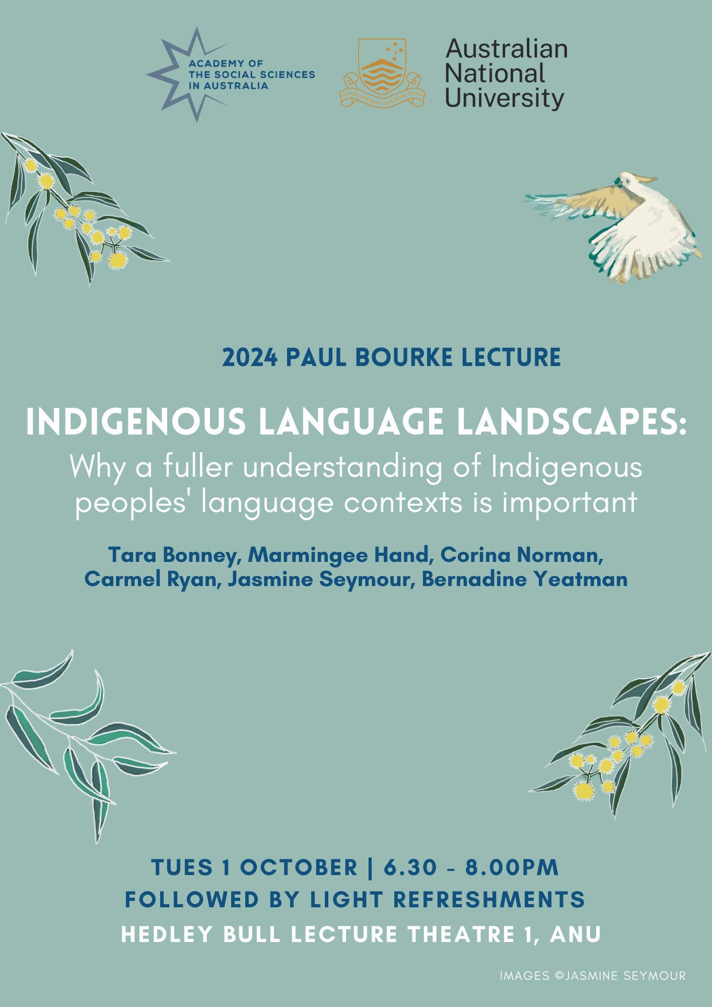 Indigenous language landscapes: Why a fuller understanding of Indigenous peoples’ language contexts is important