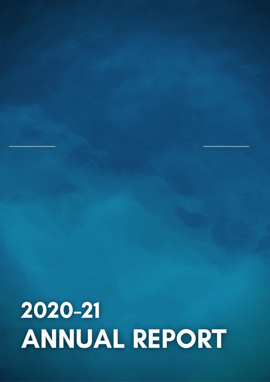 Annual Report Cover