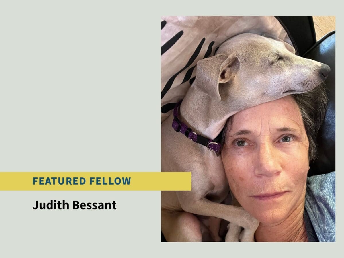 Judith Bessant Website Icon