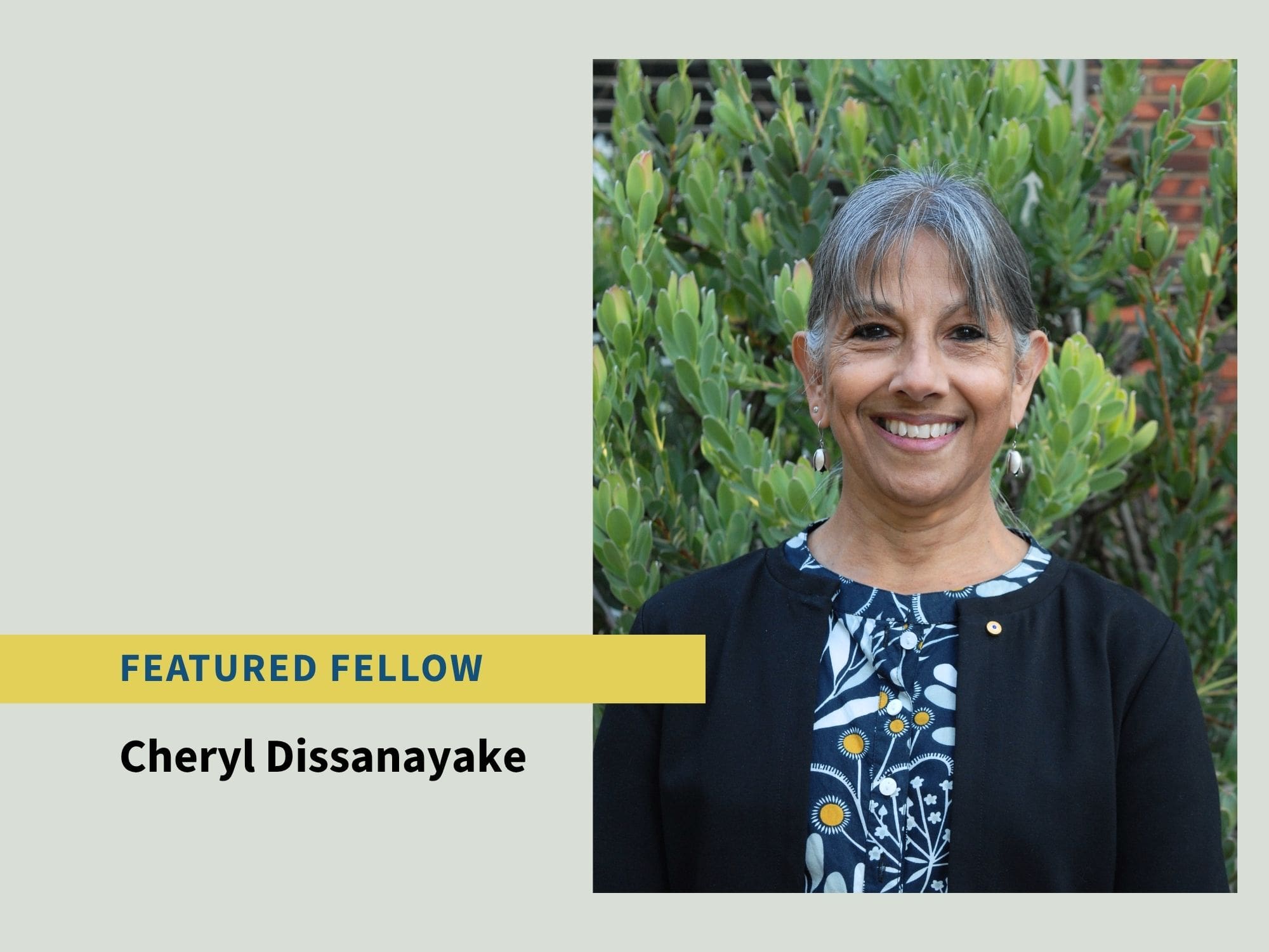 Featured Fellow: Emeritus Professor Cheryl Dissanayake